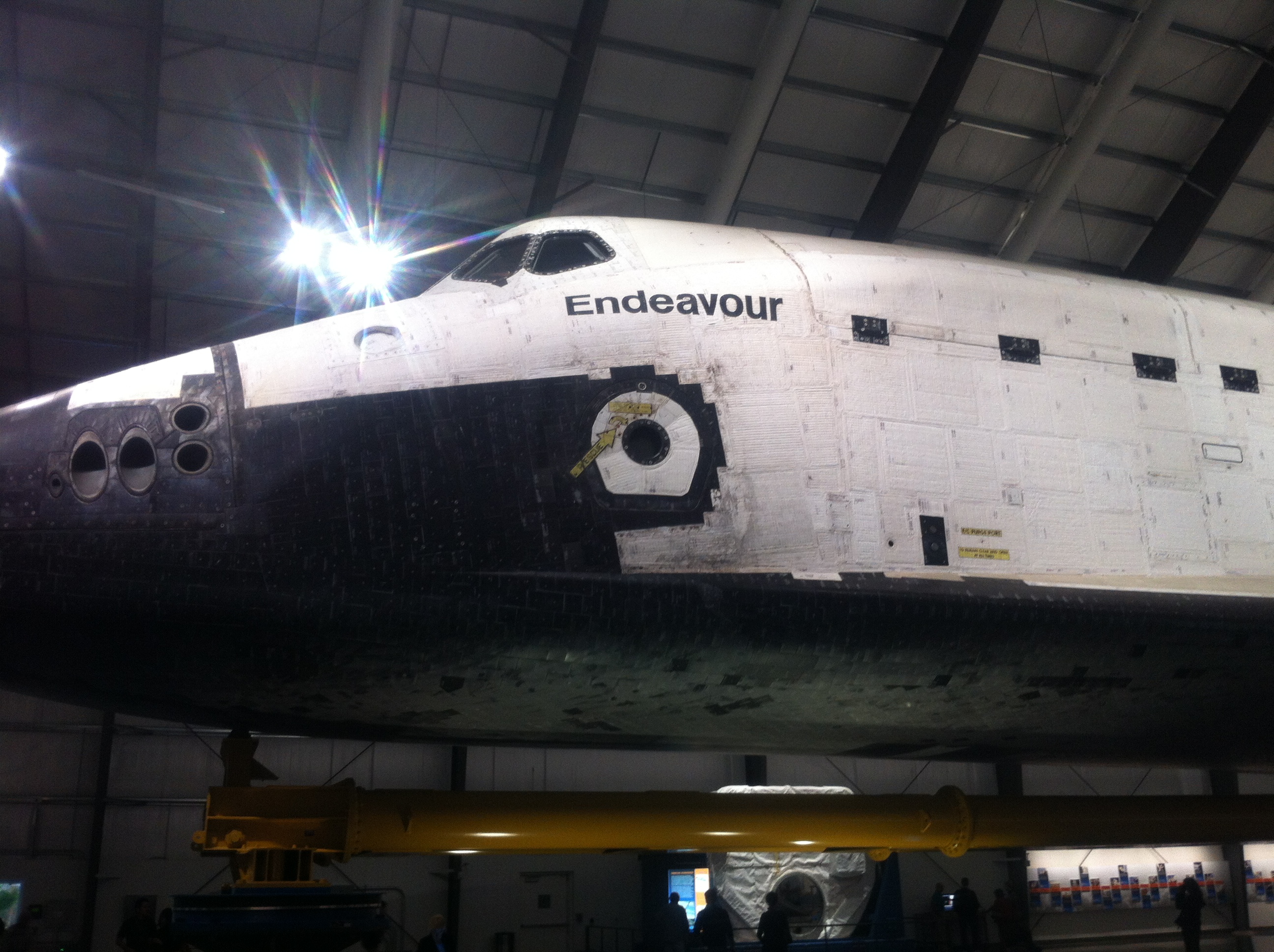  Chuck E. Cheese could have done me in . . . but it sure was FUN.